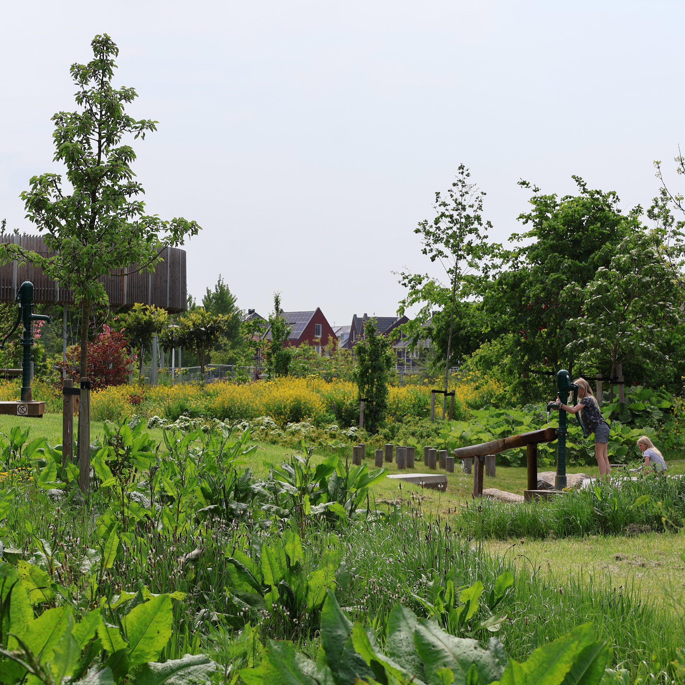 Rijnvliet, Edible Neigborhood by Felixx Landscape Architects & Planners and De Zwarte Hond.