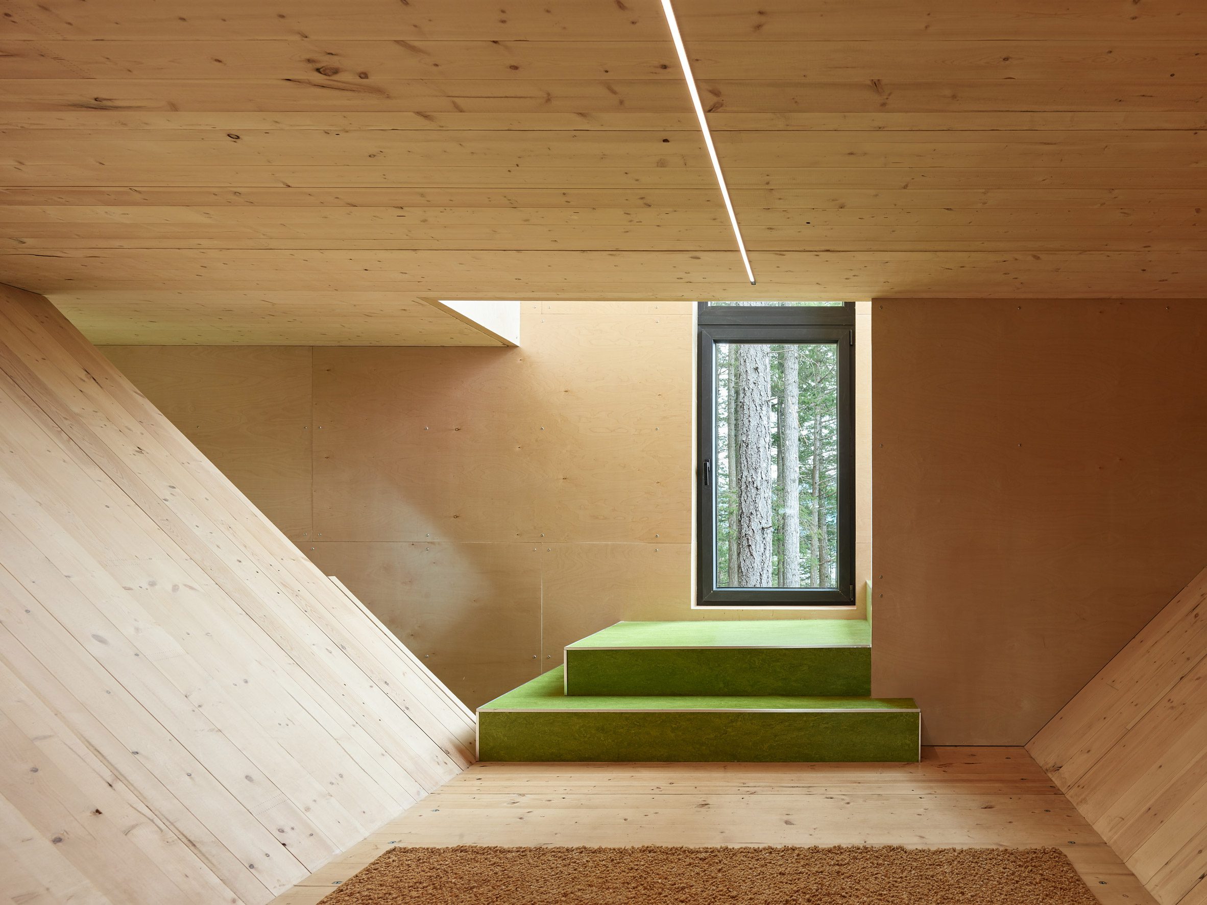 Daria Sheina-designed cabin