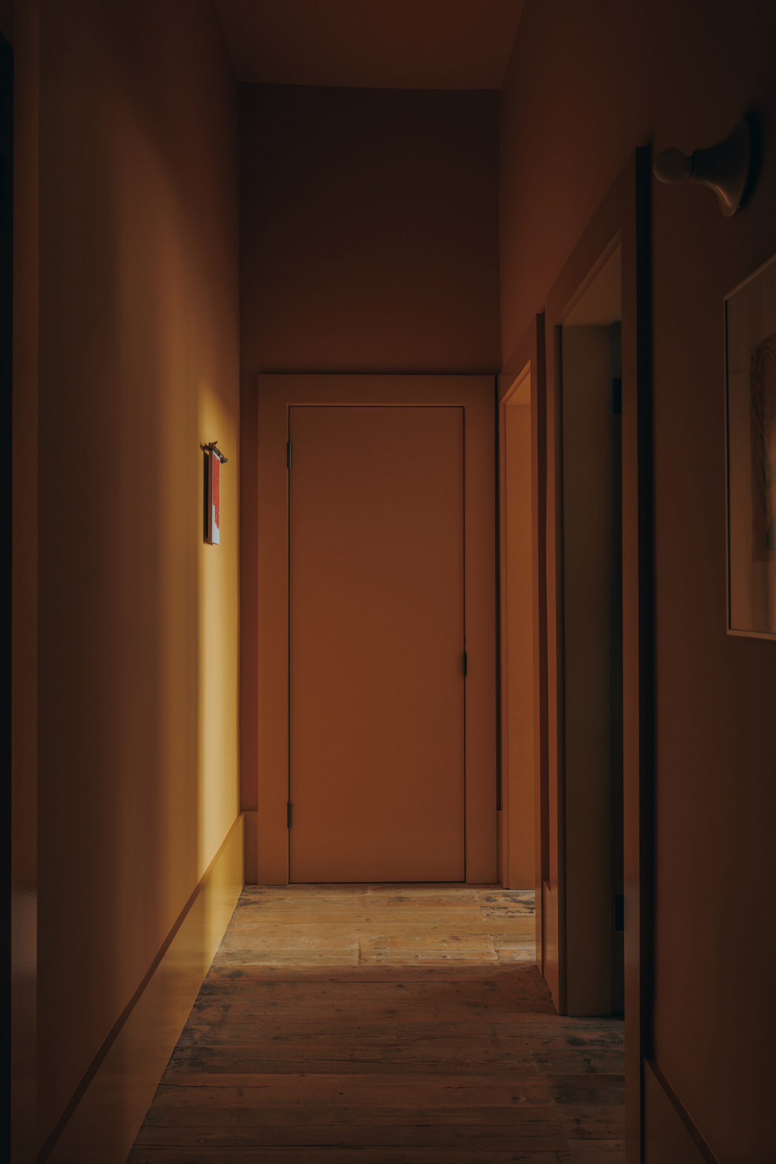 Light-filled corridor in Edinburgh flat